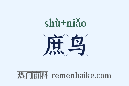 庶鸟是什么意思的图片